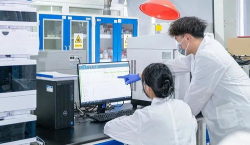 決勝收官 向新而行 主動服務沿滬寧產業創新帶建設，推動普陀科創動能澎湃聚勢